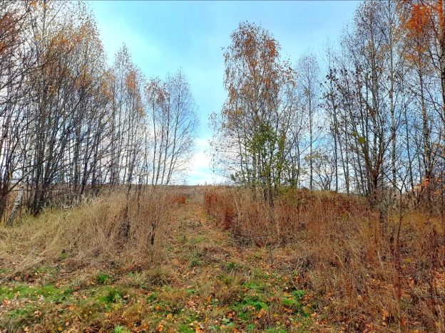 Купить земельный участок в Коврове. Вариант № 1369, 0, площадь -  квм, цена 648700 рублей