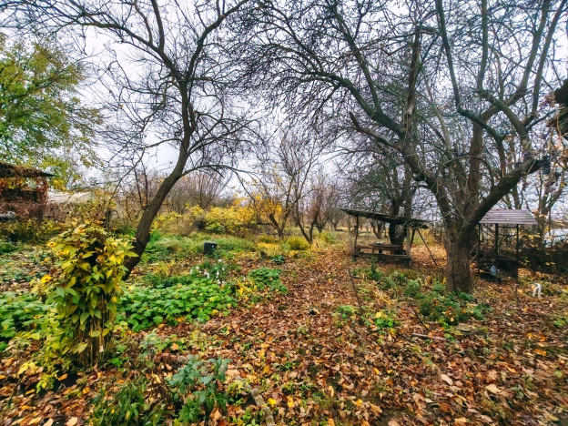 Купить дом в Белгородской области. Вариант № 8548368, 21, площадь - квм, цена 7000000 рублей