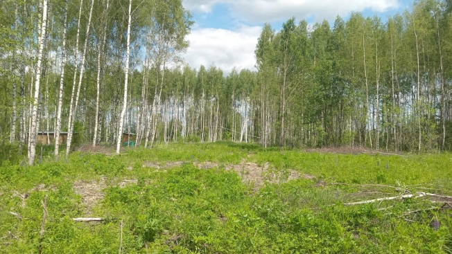 Купить земельный участок на улице 3-я Сорокинская в Владимире. Вариант № 48194, 3, площадь -  квм, цена 1100000 рублей