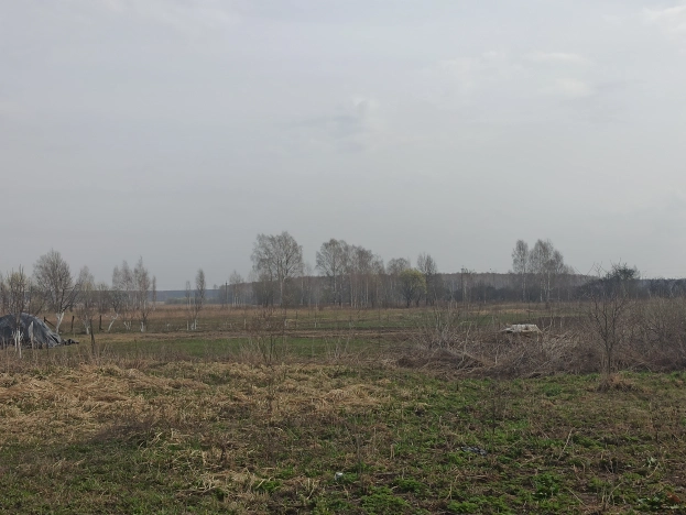 Купить земельный участок в Брянской области. Вариант № 583, 3, площадь - квм, цена 450000 рублей