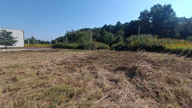 Купить земельный участок на улице Заозёрный проезд в Калининграде. Вариант № 6141881, 5, площадь -  квм, цена 1900000 рублей