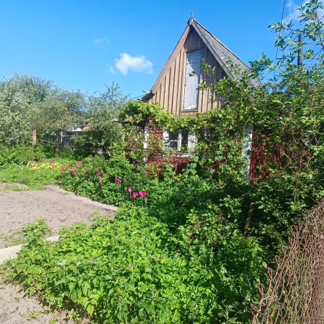 Купить дачу в Калининграде. Вариант № 2179215, 0, площадь -  квм, цена 3000000 рублей