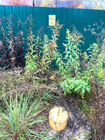 Купить земельный участок в Калуге. Вариант № 7486893, 2, площадь -  квм, цена 670000 рублей