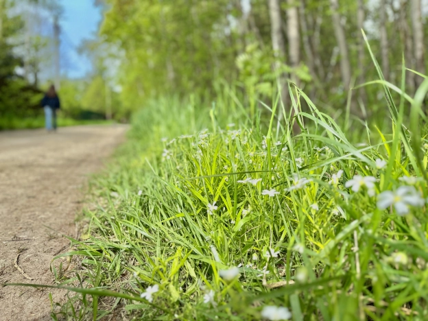 Купить земельный участок в Раменском. Вариант № 40727, 29, площадь -  квм, цена 5999999 рублей