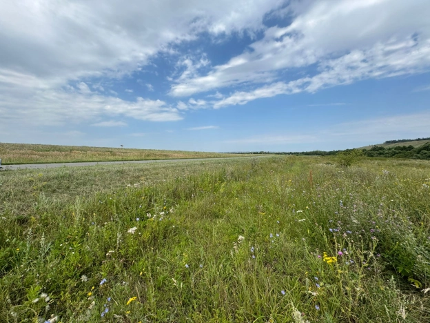 Купить земельный участок в Пензе. Вариант № 1391356, 3, площадь -  квм, цена 1900000 рублей