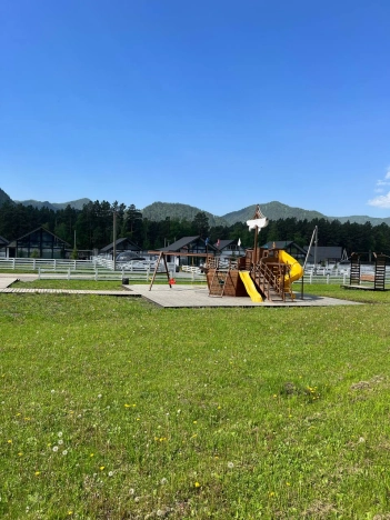 Купить дом на улице Садовая в Алтайском крае. Вариант № 44638, 31, площадь -  квм, цена 13900000 рублей