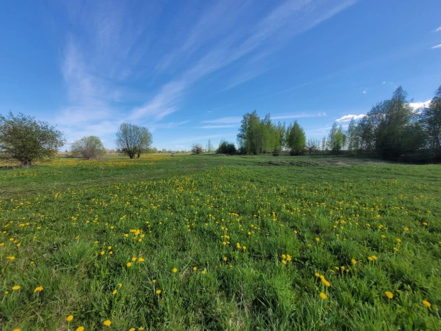 Купить земельный участок на улице 4-й Дорожный переулок в Вологодской области. Вариант № 4496, 1, площадь -  квм, цена 210000 рублей