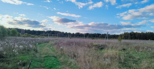 Купить земельный участок на улице Белые Ночи в Вологодской области. Вариант № 2247, 7, площадь -  квм, цена 500000 рублей