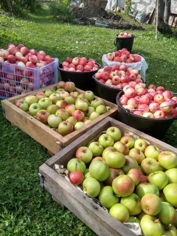 Купить дачу на улице Циолковского в Новосибирске. Вариант № 28862, 6, площадь -  квм, цена 5800000 рублей