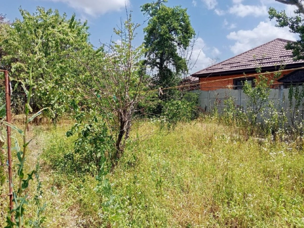 Купить дом в Краснодарском крае. Вариант № 10361678, 21, площадь -  квм, цена 5700000 рублей