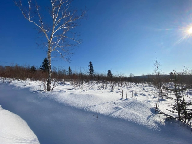Купить земельный участок в районе планировочный  Лиственничное в Южно-Сахалинске. Вариант № 7026, 8, площадь -  квм, цена 1600000 рублей