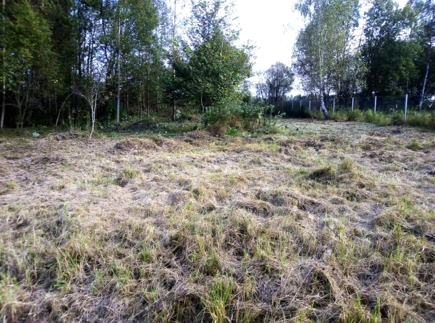 Купить земельный участок в Тульской области. Вариант № 17287, 0, площадь -  квм, цена 370000 рублей