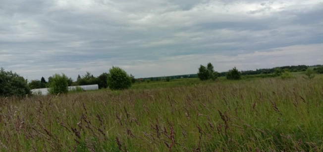 Купить земельный участок на улице Вознесенская в Ивановской области. Вариант № 56402, 1, площадь -  квм, цена 3500000 рублей