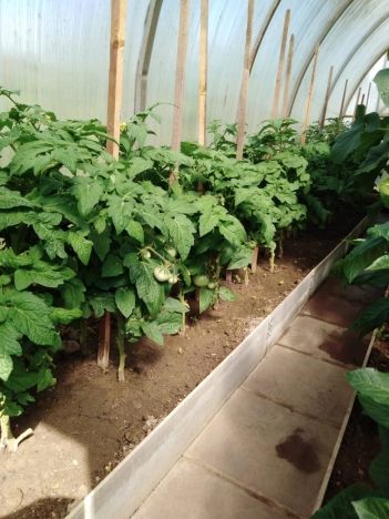 Купить дом в Москве. Вариант № 13730, 31, площадь - квм, цена 14990000 рублей