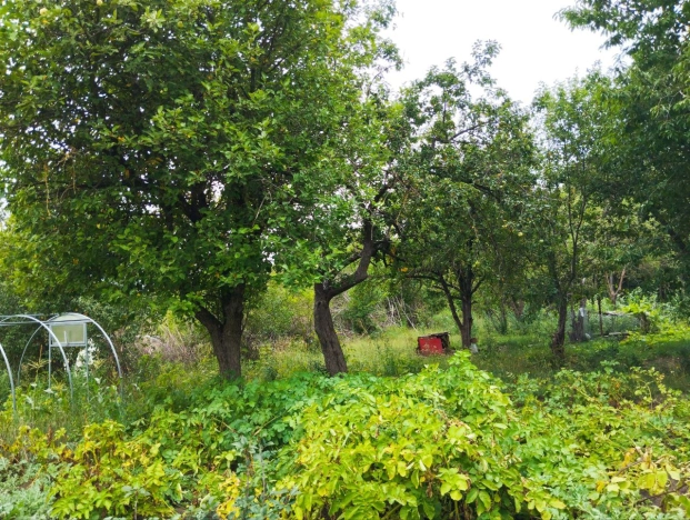 Купить дом на улице Зелёная в Белгородской области. Вариант № 1664618, 19, площадь -  квм, цена 1300000 рублей