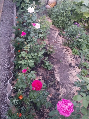 Купить дом в Алтайском крае. Вариант № 7514567, 27, площадь -  квм, цена 2300000 рублей