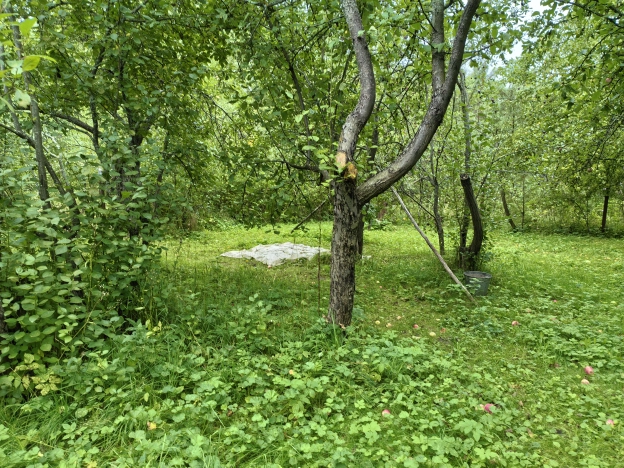 Купить дом на улице Кирова в Нижегородской области. Вариант № 3091167, 8, площадь -  квм, цена 600000 рублей