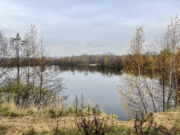 Купить однокомнатную квартиру в Нижегородской области. Вариант № 9887380, 2, площадь -  квм, цена 6900000 рублей