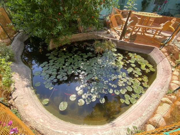 Купить дом в Севастополе. Вариант № 60112, 3, площадь -  квм, цена 32000000 рублей