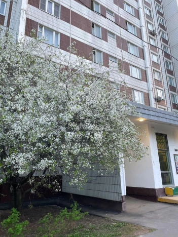 Купить квартиру в Москве. Вариант № 10429741, 30, площадь -  квм, цена 15000000 рублей