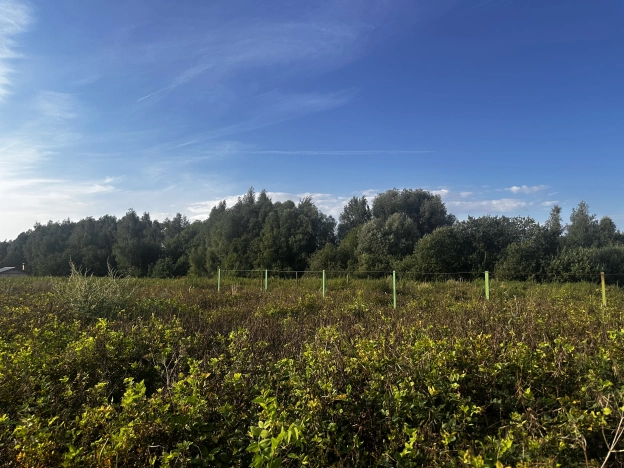 Купить земельный участок в Коломне. Вариант № 2171947, 1, площадь -  квм, цена 1099000 рублей