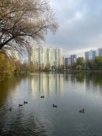 Купить квартиру в Москве. Вариант № 8364010, 28, площадь -  квм, цена 20900000 рублей