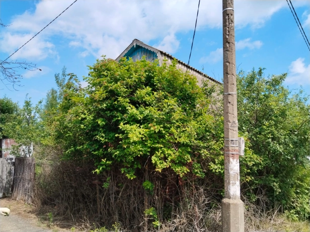 Купить дачу в Луховицах. Вариант № 55192, 3, площадь -  квм, цена 440000 рублей