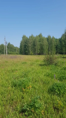 Купить земельный участок в Владимире. Вариант № 1428, 1, площадь -  квм, цена 480000 рублей