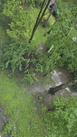 Купить двухкомнатную квартиру в Санкт-Петербурге. Вариант № 10237476, 17, площадь -  квм, цена 9790000 рублей