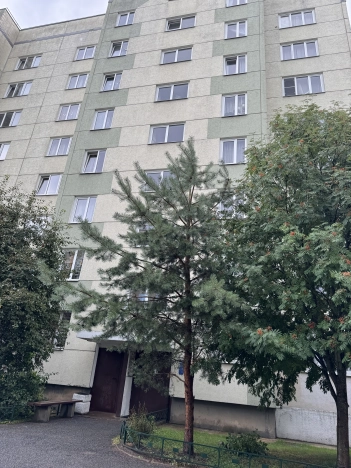 Купить однокомнатную квартиру в Всеволожске. Вариант № 1299986, 17, площадь -  квм, цена 4350000 рублей