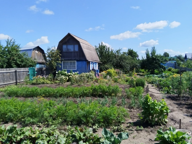 Купить земельный участок в Алтайском крае. Вариант № 5447604, 6, площадь -  квм, цена 600000 рублей