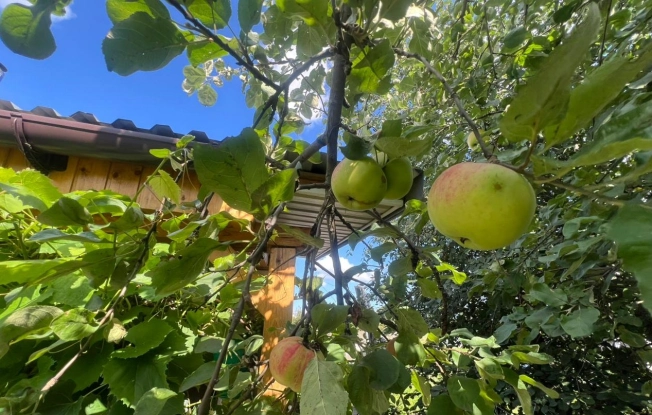 Купить дом на улице 2-й Аллейный проезд в Рязани. Вариант № 56401, 19, площадь -  квм, цена 2800000 рублей