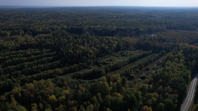 Купить земельный участок в Республике Карелия. Вариант № 13851, 15, площадь -  квм, цена 6000000 рублей