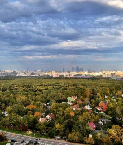 Купить однокомнатную квартиру в Одинцове. Вариант № 7611859, 15, площадь -  квм, цена 9500000 рублей