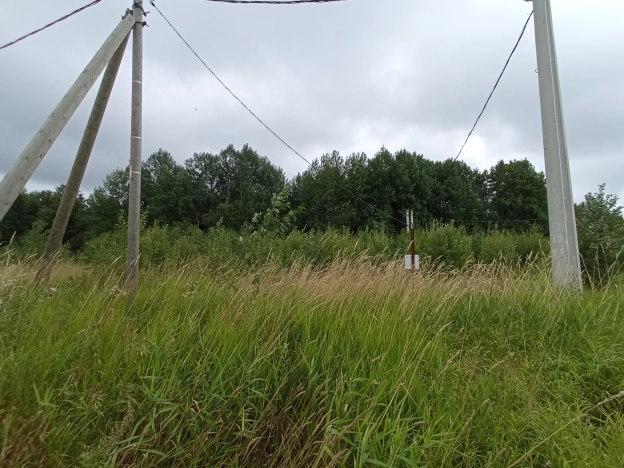 Купить земельный участок в Вологодской области. Вариант № 8987, 1, площадь -  квм, цена 380000 рублей