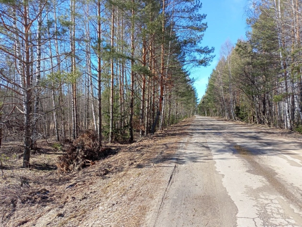 Купить земельный участок в Нижегородской области. Вариант № 31385, 2, площадь -  квм, цена 2000000 рублей