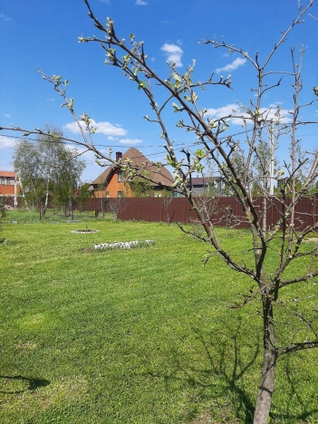 Купить дом в Санкт-Петербурге. Вариант № 8106, 4, площадь -  квм, цена 6500000 рублей