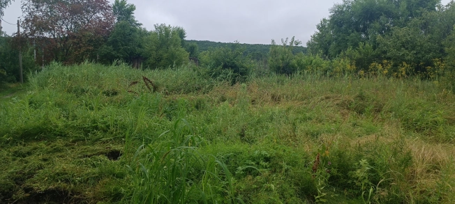 Купить земельный участок в Микрорайоне Сахпосёлок, Уссурийск в Уссурийске. Вариант № 10738, 4, площадь -  квм, цена 350000 рублей