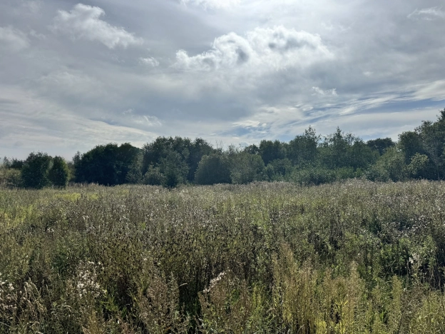 Купить земельный участок в Вологодской области. Вариант № 35857, 3, площадь -  квм, цена 545000 рублей