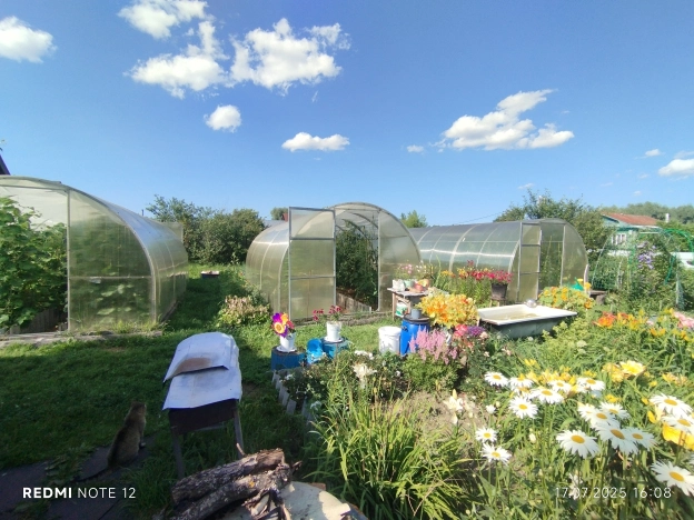 Купить дом на улице Кирова в Нижегородской области. Вариант № 479601, 20, площадь -  квм, цена 2550000 рублей