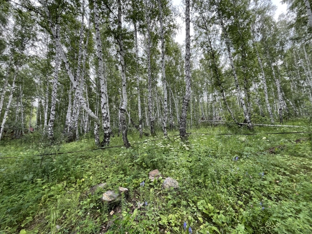 Купить дом на улице Горная в Республике Башкортостан. Вариант № 53486, 12, площадь -  квм, цена 7500000 рублей