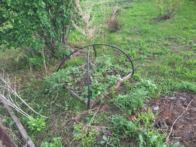 Купить земельный участок в Искитиме. Вариант № 8094, 21, площадь -  квм, цена 450000 рублей