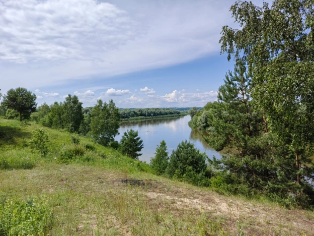 Купить дом в Калуге. Вариант № 11588, 46, площадь -  квм, цена 39700000 рублей