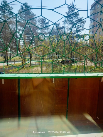 Купить однокомнатную квартиру в Приморском крае. Вариант № 39571, 9, площадь -  квм, цена 4300000 рублей