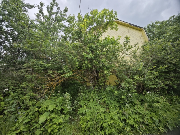 Купить дачу в Московской области. Вариант № 57662, 24, площадь -  квм, цена 480000 рублей