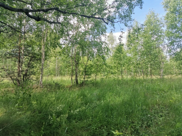 Купить земельный участок на улице Малиновая в Республике Татарстан (татарстан). Вариант № 56563, 9, площадь -  квм, цена 2500000 рублей