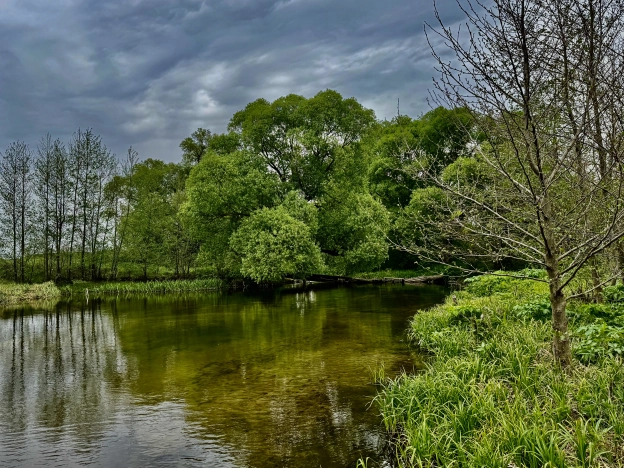 Купить дом на улице 2-й переулок Гагарина в Старом Осколе. Вариант № 40759, 23, площадь -  квм, цена 750000 рублей