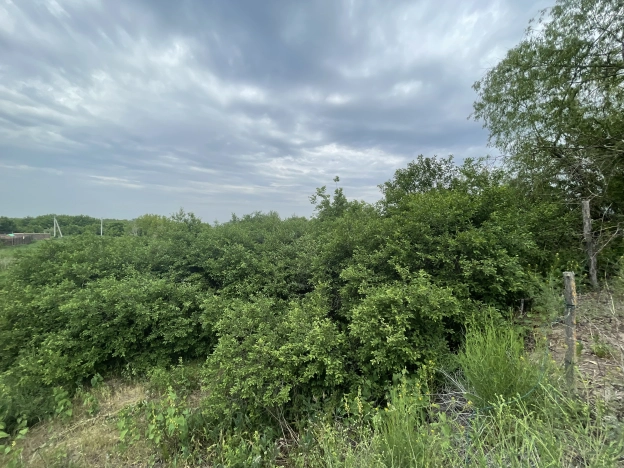 Купить земельный участок в Воронеже. Вариант № 46918, 0, площадь -  квм, цена 3000000 рублей