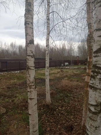 Купить дом в Санкт-Петербурге. Вариант № 1622464, 20, площадь -  квм, цена 4500000 рублей