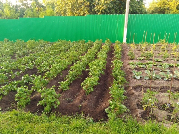 . Вариант № 3430535, 21, площадь - 97 квм, цена 6500000 рублей